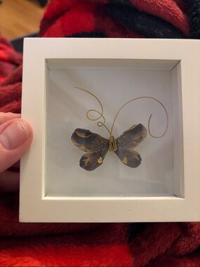 Demdaco framed Butterfly Shadow Box Art with Gold Wire Accents
